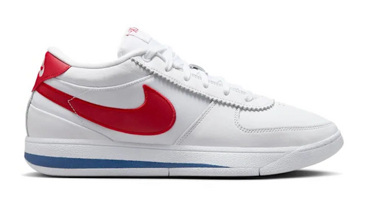 Nike Book 1 Forrest Gump (FJ4249 105)